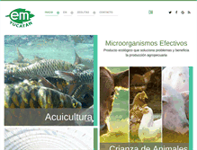 Tablet Screenshot of emyucatan.com